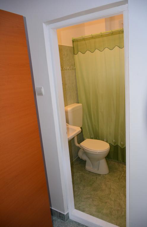 Vila Vacanta Corp A コスティネシュティ 部屋 写真